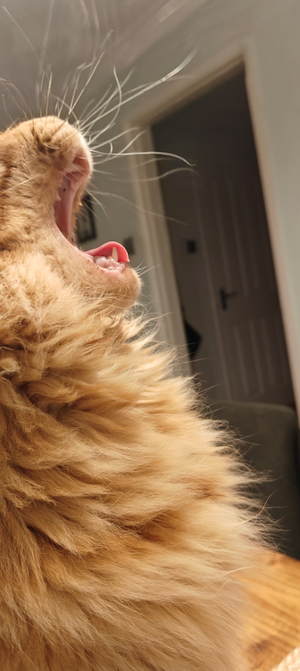 1762705978720.png 1762705978720.png