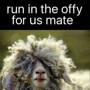 1766067078350.png 1766067078350.png