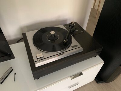 SP10R 583273642_10231572357278113_2631828575620523785_n.jpg SP10R 583273642_10231572357278113_2631828575620523785_n.jpg