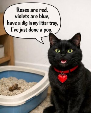 Catlitter poo.jpg
