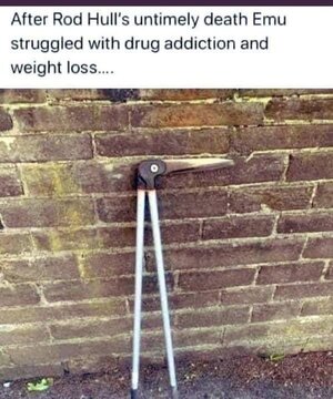 Emu, Rod Hull, loppers.jpg