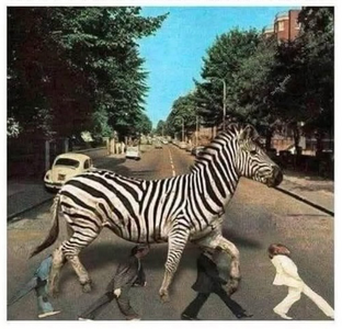 Abbey Road.png