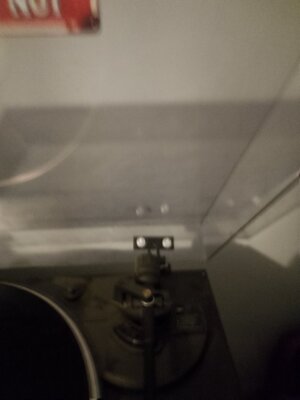 1000000539.jpg 1000000539.jpg