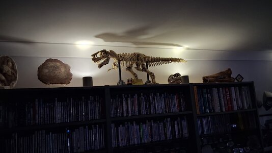 20260614_152729.jpg