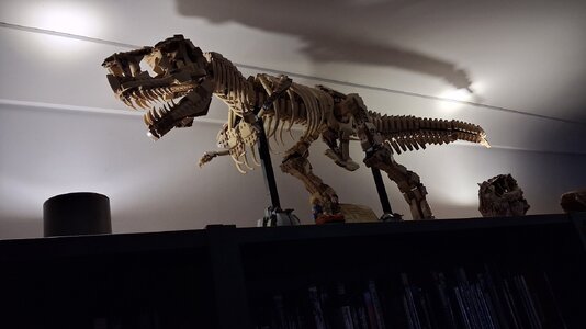 20260614_152741.jpg