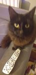 20201018_014136.jpg