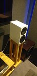 20220407_113524.jpg