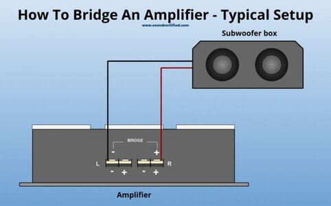 Bridged.jpg