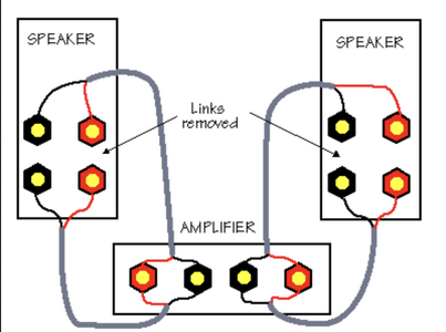 Bi Wire.png
