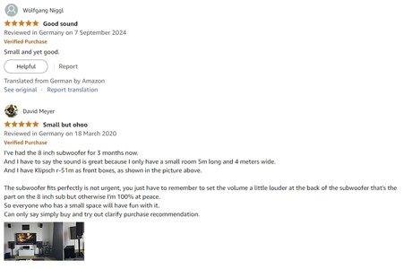 2024-12-10 10_47_23-Amazon.de_Customer Reviews_ DYNAVOICE Challenger Sub-8 Active Subwoofer 8 ...jpg