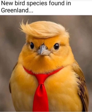 1746704020517.png