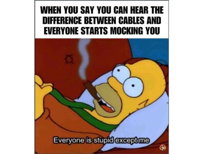 1000018081.jpg