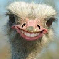 Neil.C